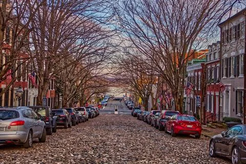 Cobblestone Street &amp; Bare Trees Stock Photos
