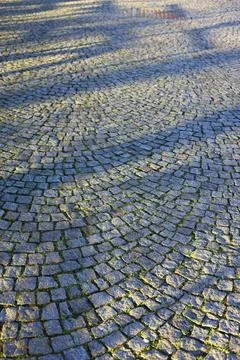 Cobblestone street texture with curved pattern and long shadows Stock Photos