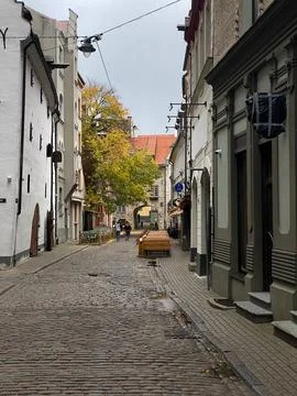 A cobblestone street with a tree in the middle Stock Photos