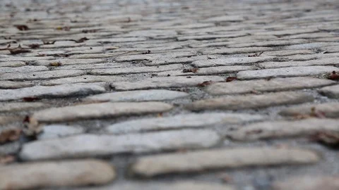 Cobblestone Street4 Video stock 101410684