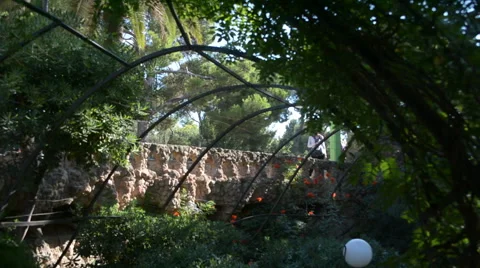 Cobblestone Walkway Stock Footage 48855295