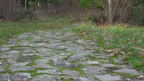 Cobblestone walkway in the old park Stock Footage 99704576