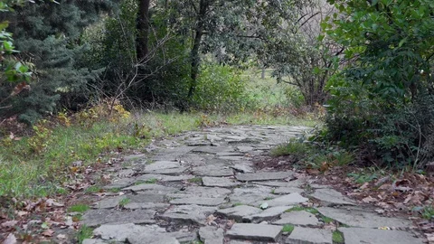 Cobblestone walkway in the old park Stock Footage 99704844
