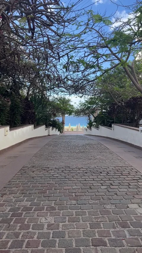 Cobblestone walkway path to beach tropical resort Fuerteventura HD vertical Stock-Footage 342027767
