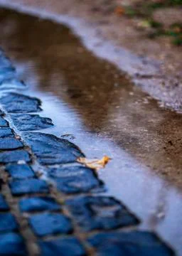 Cobblestones and a puddle Stock Photos