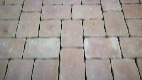 Cobblestones / Brick Path Way Tracking Shot Stock Footage 99560186