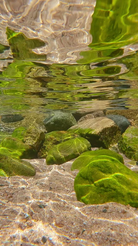 Cobblestones covered with small green algae in coastal zone are reflected on Stock Footage 320609139