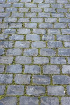 Cobblestones in Flanders, Belgium Stock Photos