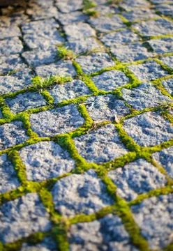 Cobblestones with moss Foto stock