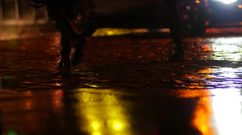 Cobblestones at night Stock Footage 53850818