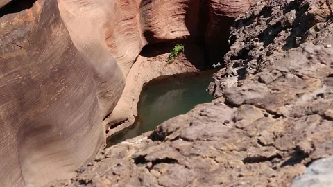Cobbold Gorge high angle locked off view into gorge 2 Stock Footage 147833266