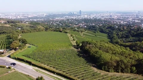 Cobencl Schloss rechts Stockbeeldmateriaal 340511226