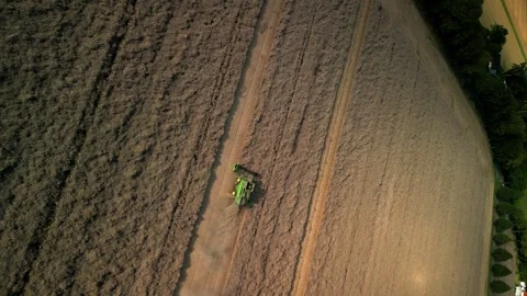 Cobine harvests grain Stock-Footage 249376599