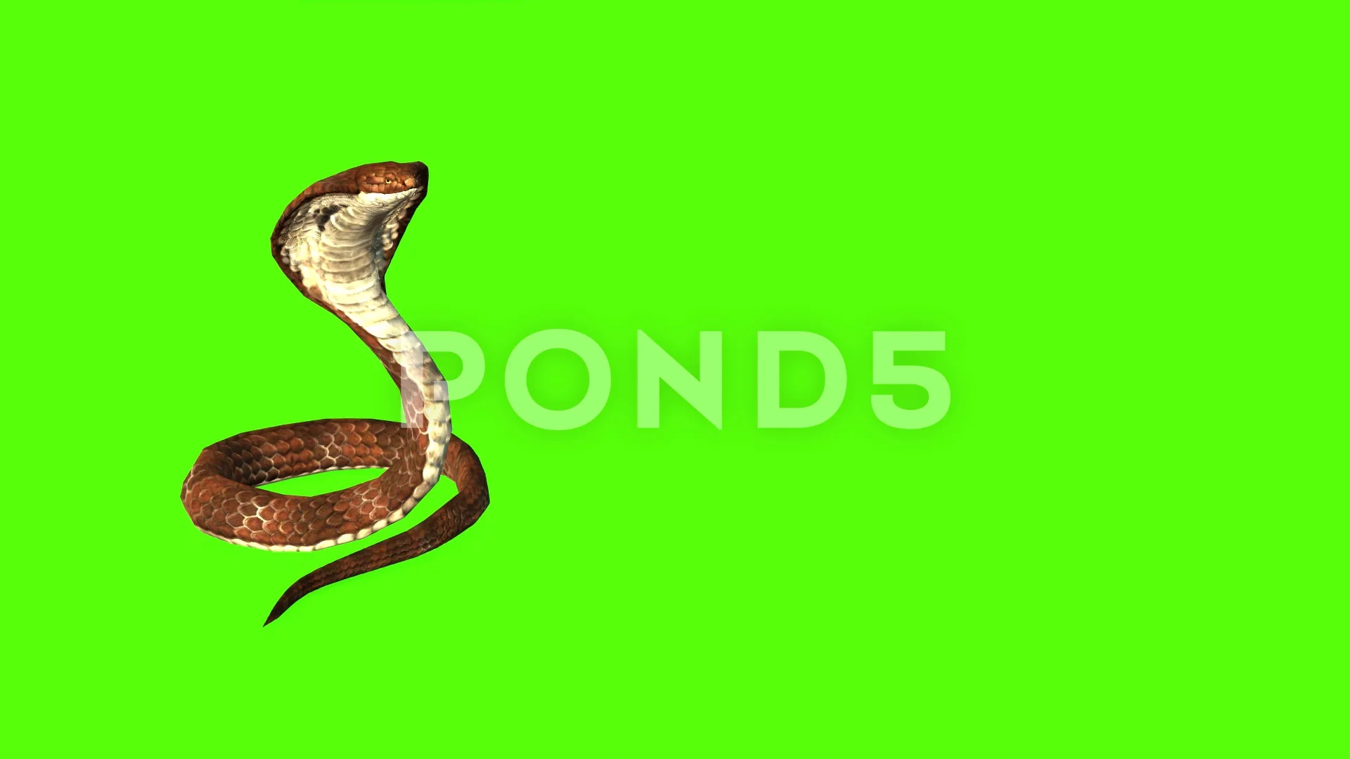 Snake game eating food splash screen for mobile game 1920 x 1080