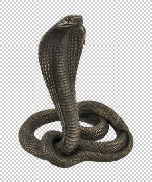 Cobra of bronze on a transparent background. Stock-Illustration