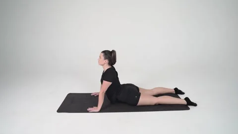 Cobra Stock Footage 314194130