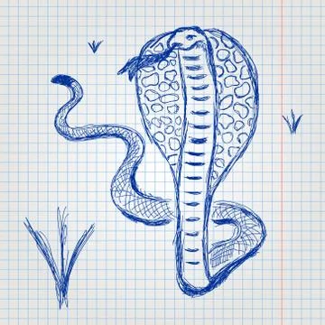 Cobra freehand drawing Stock Illustration