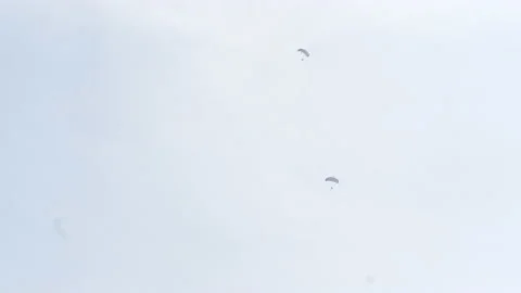 Cobra Gold Amphibious Assault Exercise - Parachuting 動画素材 239603483