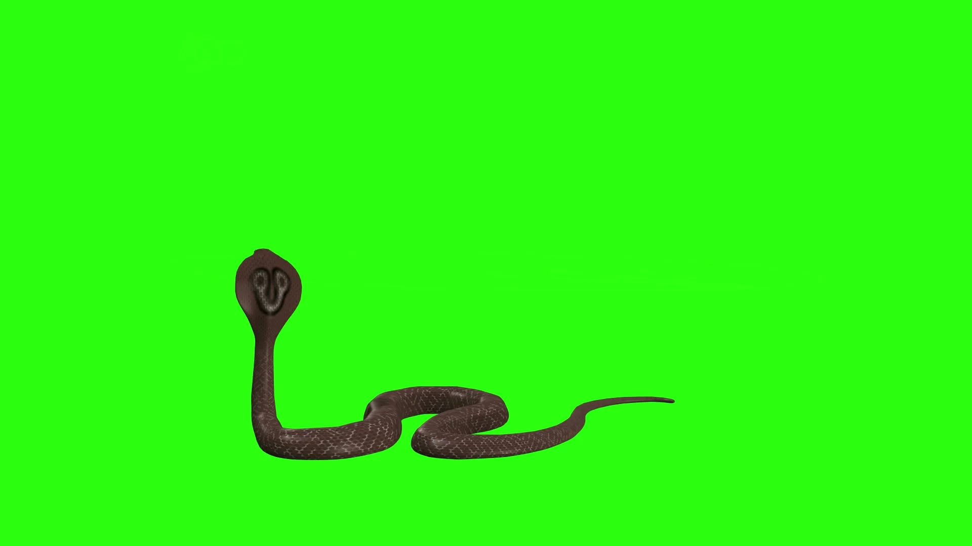 Cobra green screen