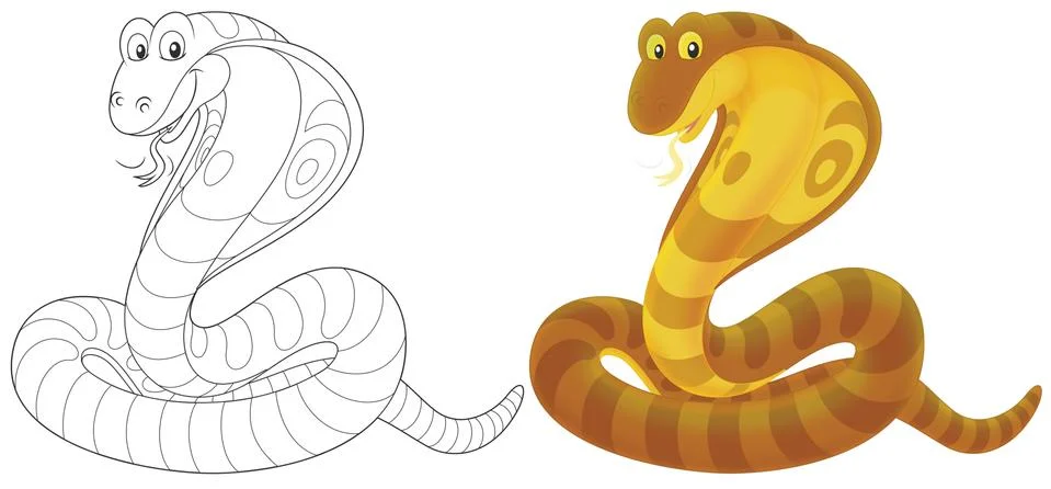 Cobra Stock Illustration