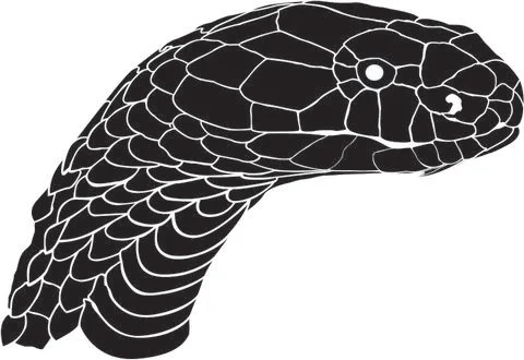 Cobra Stock Illustration