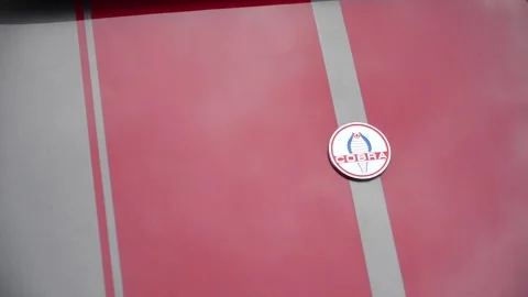 Cobra Red 2 Stock Footage 206845051