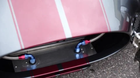 Cobra Red 3 Stock Footage 206845405