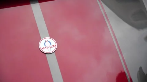 Cobra Red Stock Footage 206845249