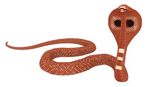 Cobra snake isolated on white background Illustrazione stock
