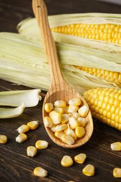 Cobs of ripe corn with grains of corn on a wooden background, vertical. Stock Photos