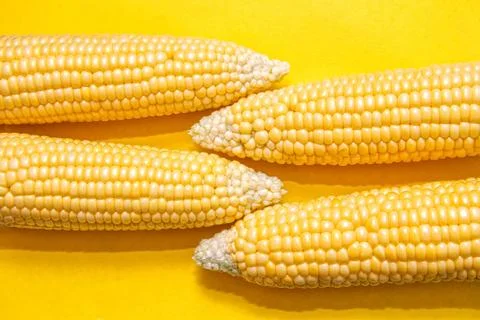 Cobs of ripe corn Stock Photos