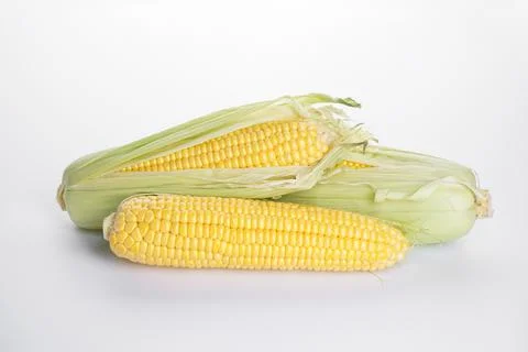 Cobs of ripe corn on a white background Stock Photos