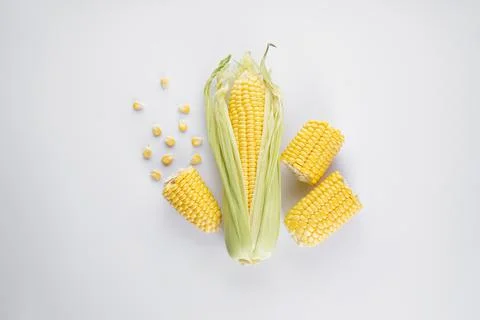 Cobs of ripe corn on a white background, top view. Stock Photos