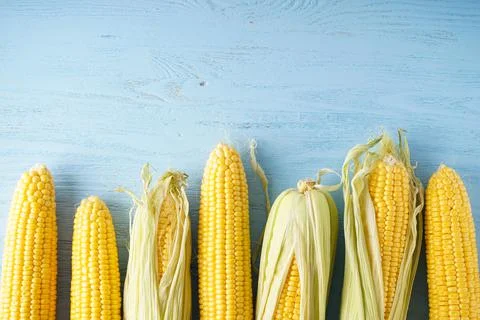 Cobs of ripe raw corn on blue wooden background, place for text. Top view. Stock Photos