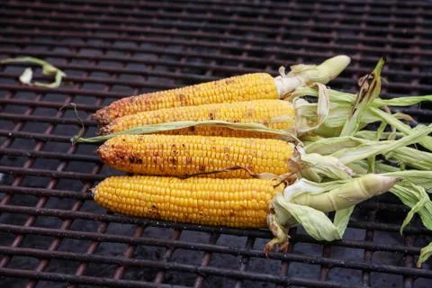 The cobs of yellow corn on the grill Stock-Fotos