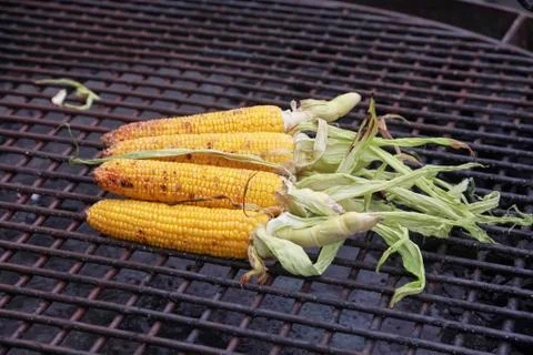 The cobs of yellow corn on the grill Stock Photos