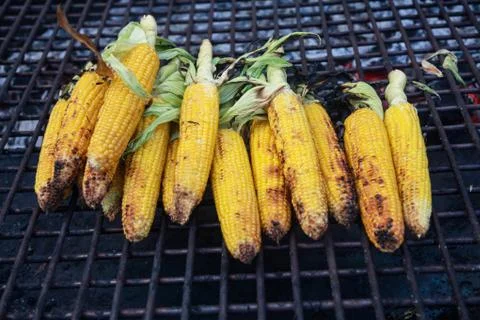 The cobs of yellow corn on the grill Stock Photos