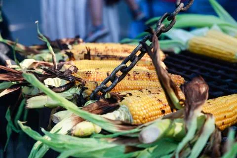The cobs of yellow corn on the grill Stock Photos