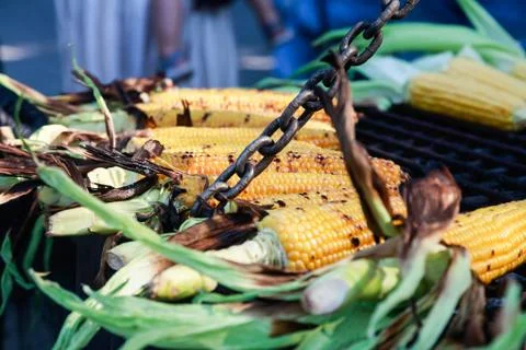 The cobs of yellow corn on the grill Stock Photos