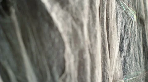 Cobweb 4 Stock Footage 33445034