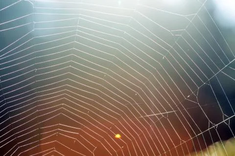 Cobweb - an abstract background Stock-Fotos