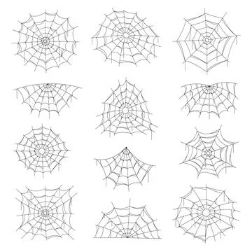 Cobweb and spider web Halloween isolated net. Ilustración de archivo