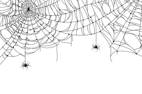 Cobweb background. Scary spider web with spooky spider, creepy arthropod Illustrazione stock