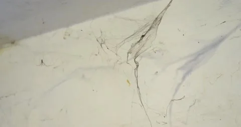 A cobweb in the basement Video stock 164874644