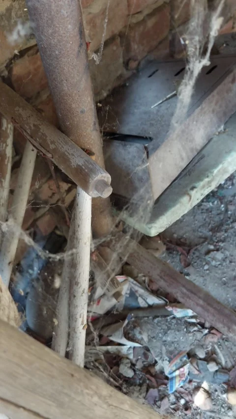 Cobweb Blowing in Wind Short Video Video stock 248900680