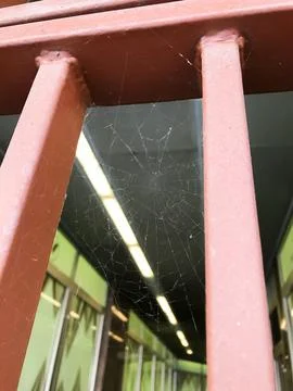 Cobweb in the corner of the window, cobweb in the basement Stock Photos