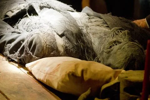 Cobweb covered skeleton or mummy for Halloween. Stock Photos