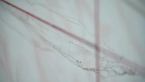 Cobweb in the dust on the background of light ceramic tiles, close-up Stock Footage 243874316