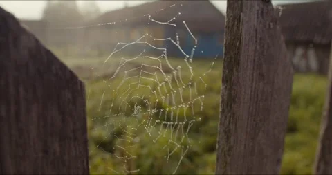 Cobweb on the fence Stock Footage 305915429