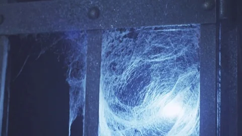 Cobweb Stock Footage 73614863